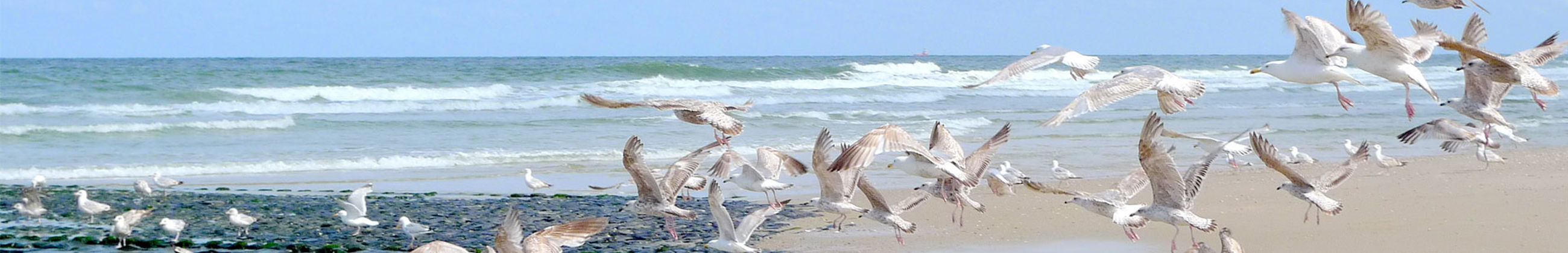 LekkerNaarZee Beach Holiday