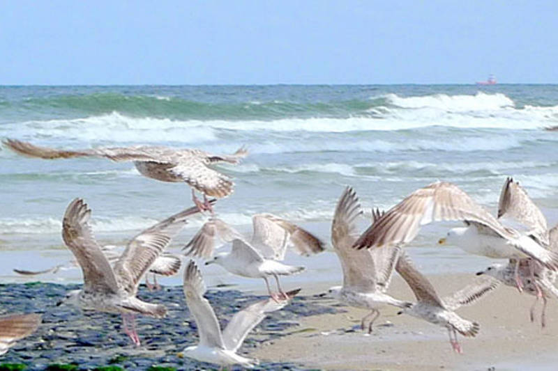 Terms LekkerNaarZee Image