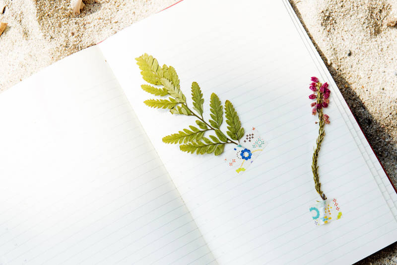 Sandy beach Callantsoog