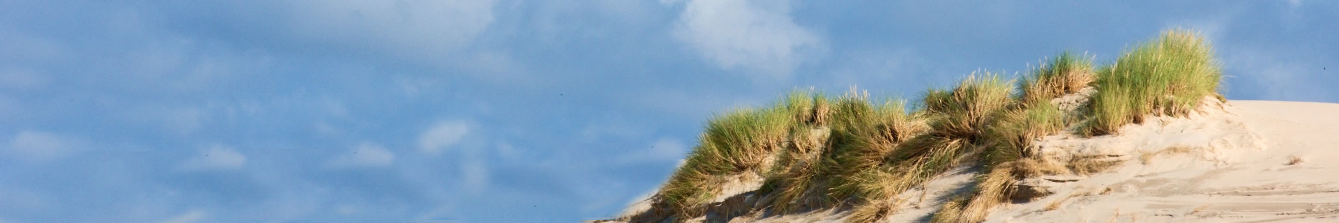 Mooite foto van duinen