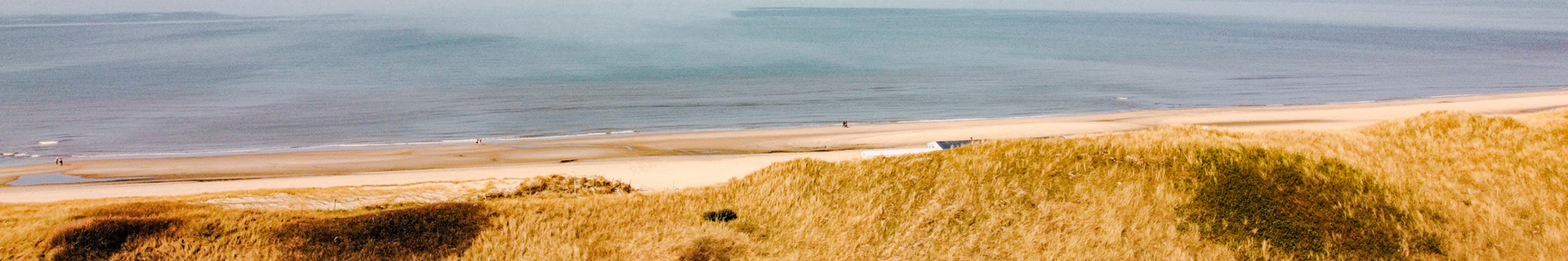 Strand Duinen