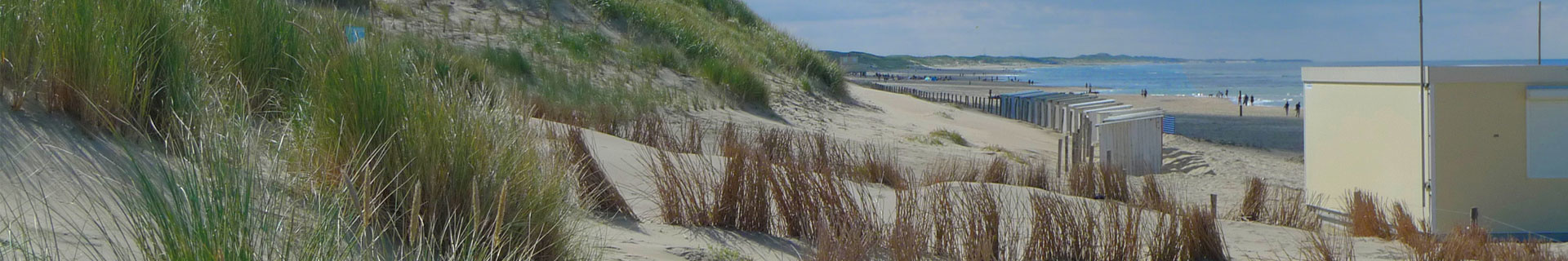 Header Strand callantsoog voorjaar