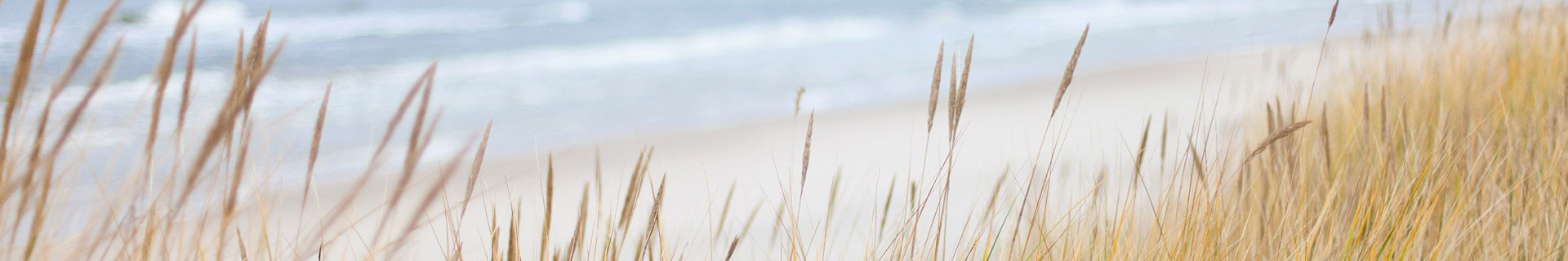 Header Duinenhelmgras