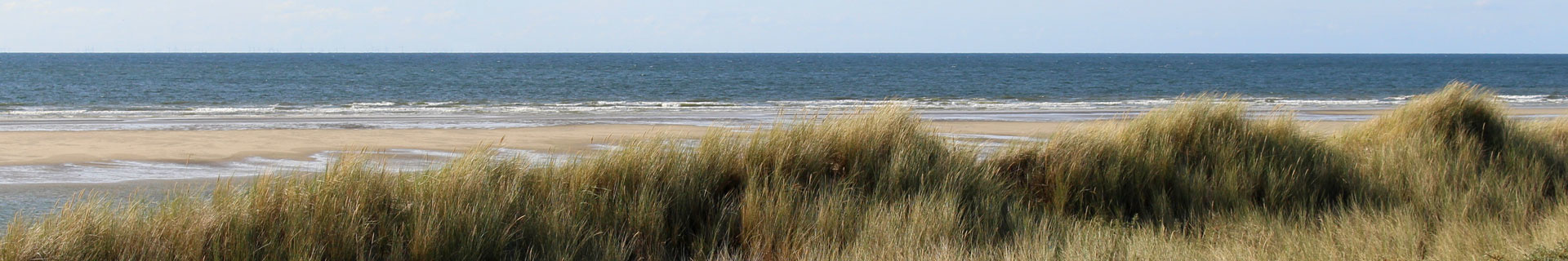 Header duienzichtopzee