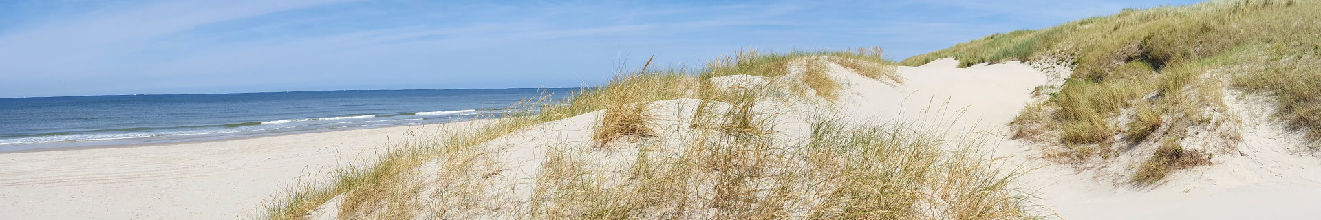 Header Slapenmetzichtopzee