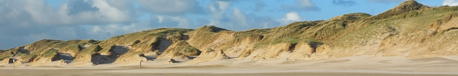 Vakantie aan Zee Duinerei A201 Appartement Callantsoog