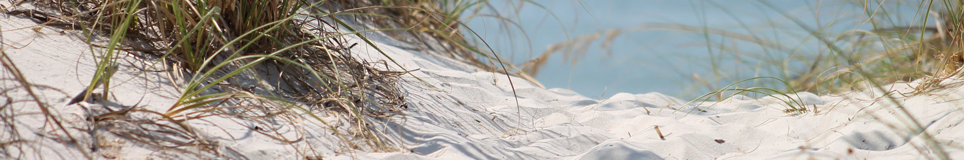 Header Zand
