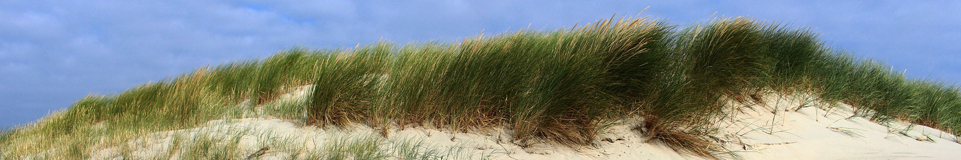 Familie Vakantiehuis Callantsoog Op t Oog groepen